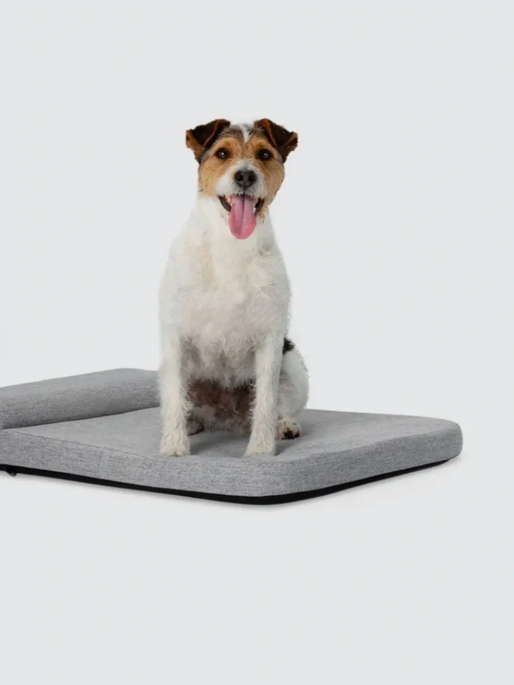 Diggs Bolstr Evolv Bed